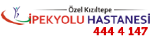 Özel Kızıltepe İpekyolu Hastanesi logosu