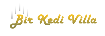 Bir Kedi logosu